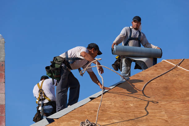 Roof Repair Estimates in Naples Park, FL